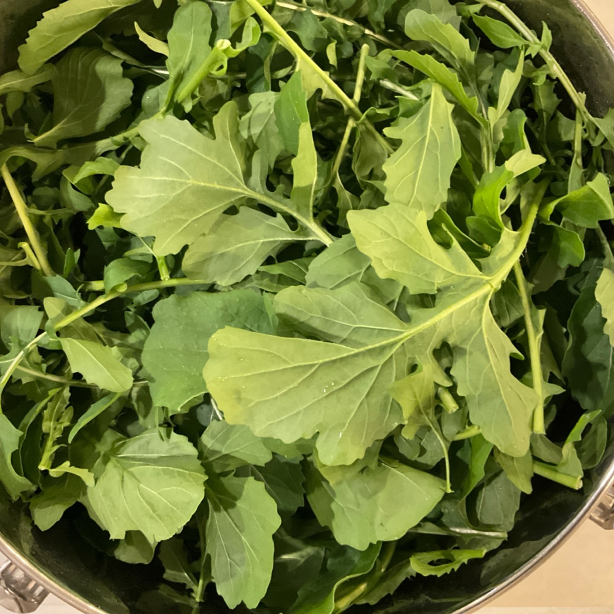 Meristem Farm Arugula, Organic ($1/oz)