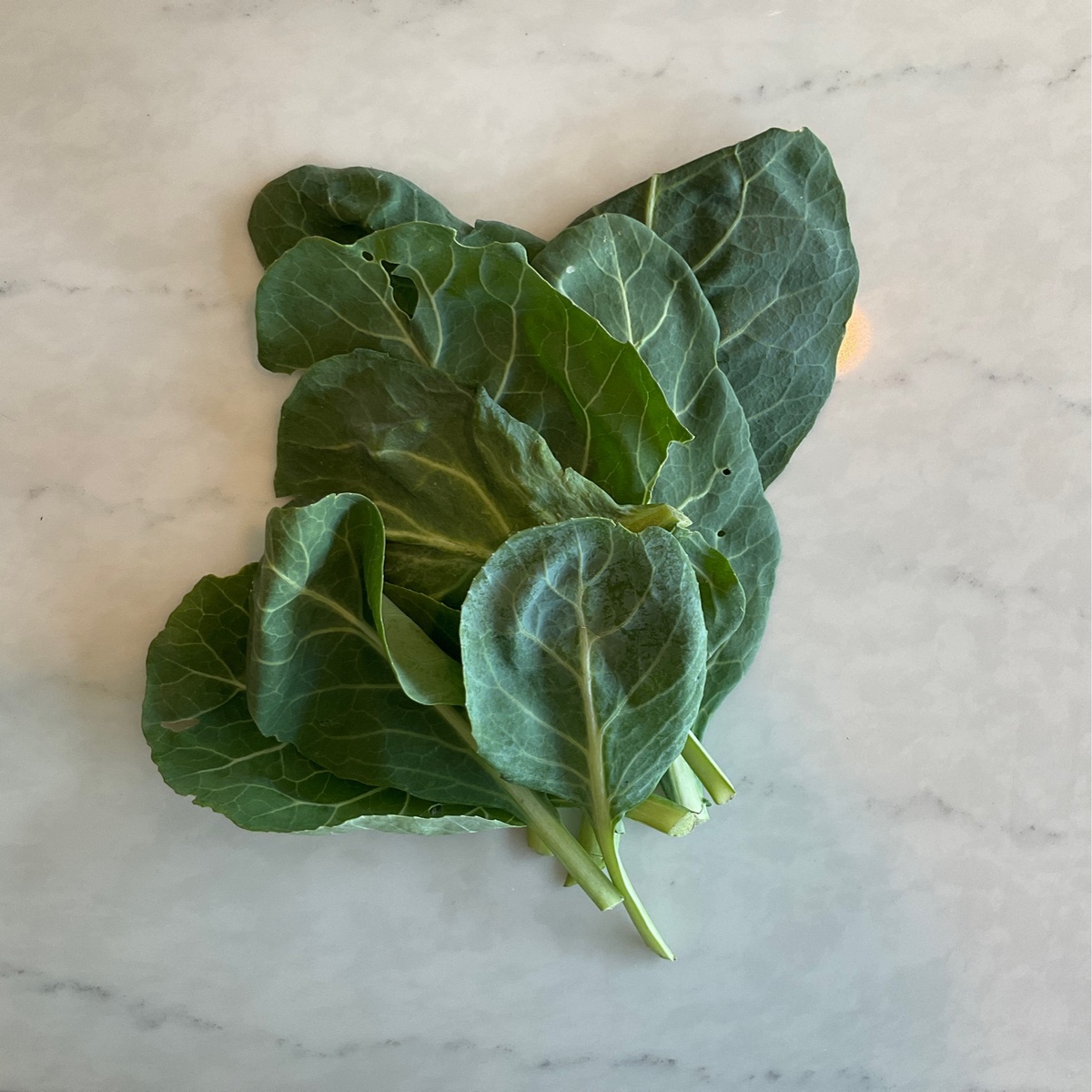 Long Walk Farm Collard Greens (60c/oz)