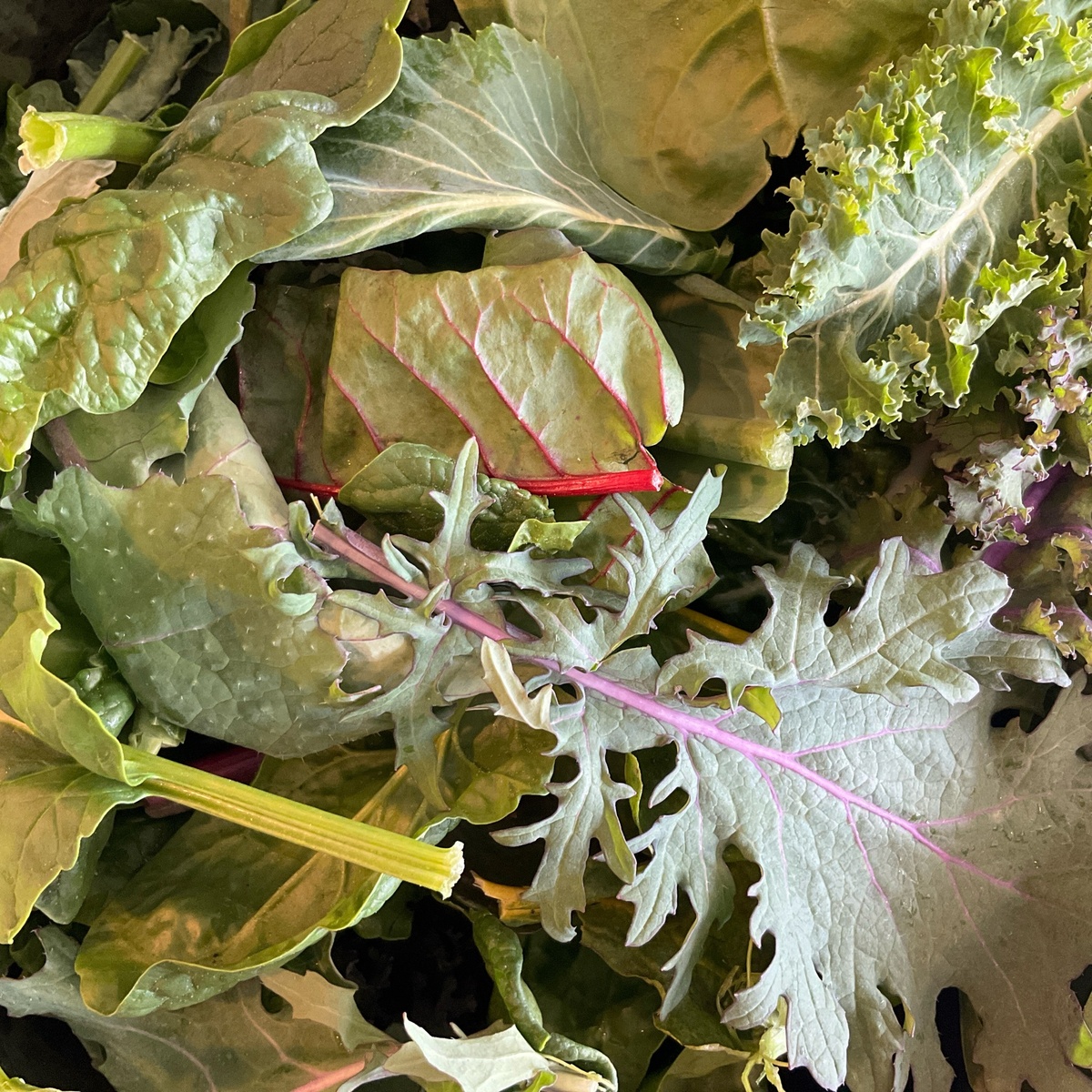 Meristem Farm Organic Greens, Power Mix, Organic ($1/oz)