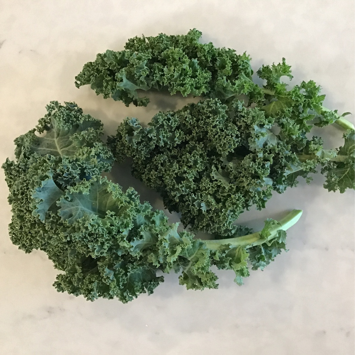 Abie Vegetable People Kale, Green Curly (70c/oz)