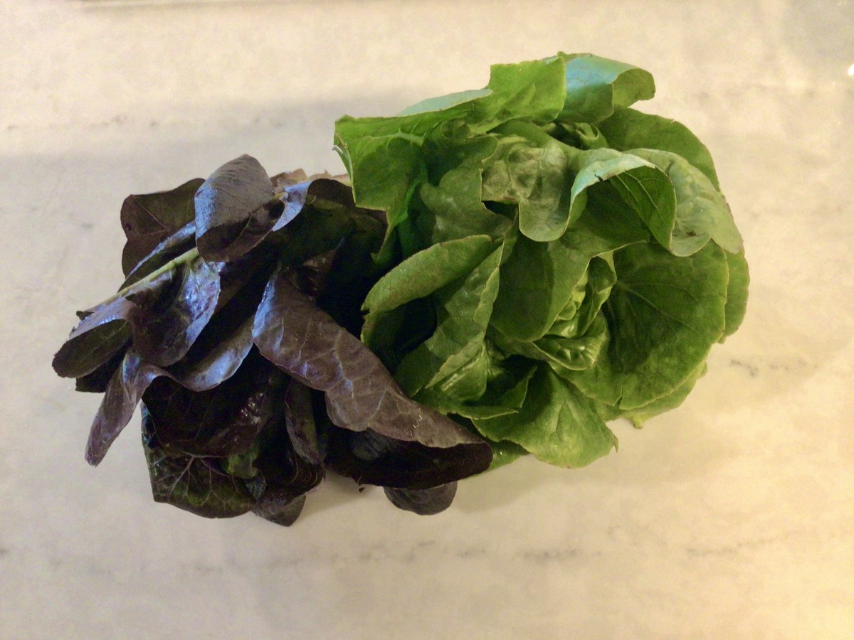 Robinette Farms Lettuce Heads, Mini Romaine, Organic (per head) - image 2
