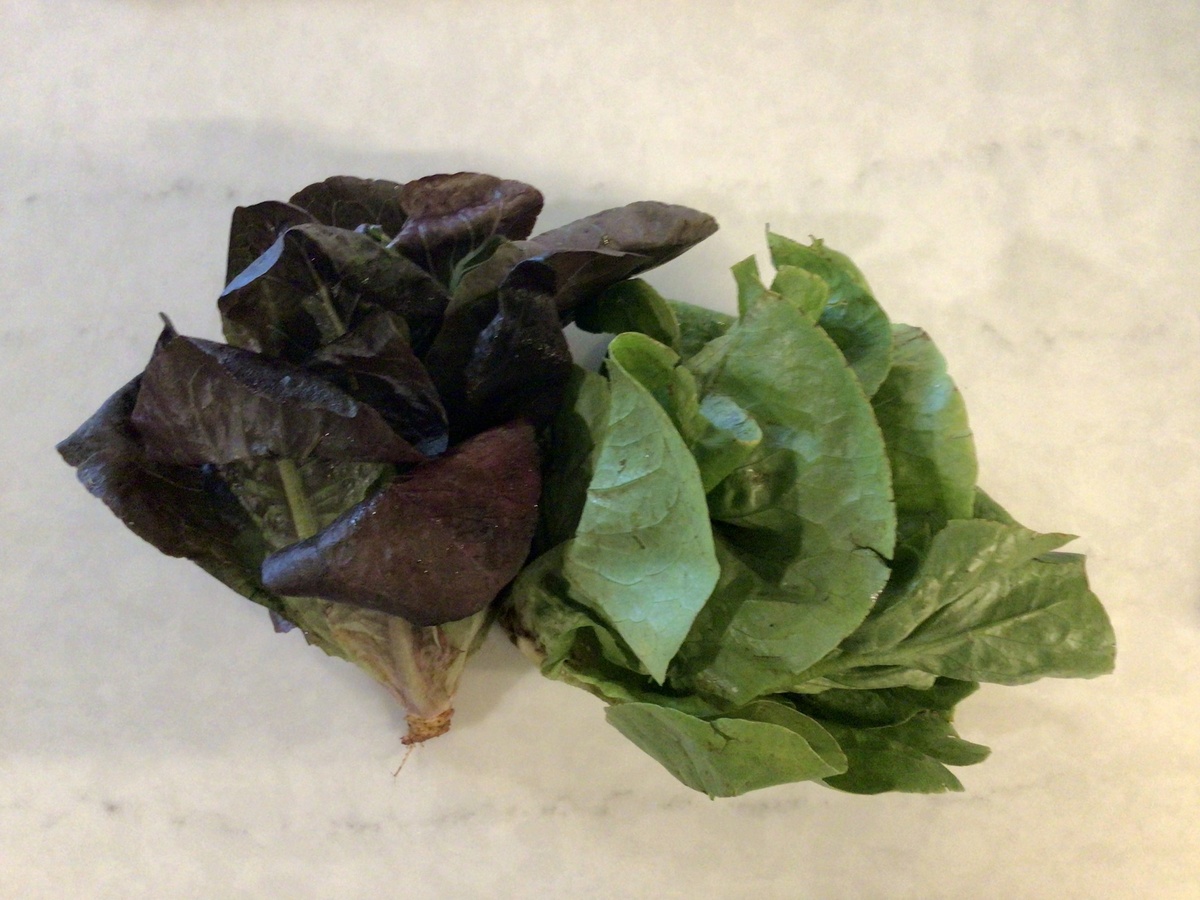 Robinette Farms Lettuce Heads, Mini Romaine, Organic (per head)