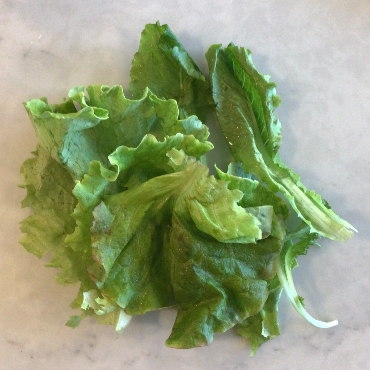 Field to Family Lettuce Mix ($0.7/oz)