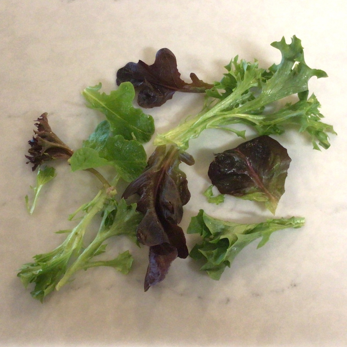 Gather Urban Farm Lettuce Mix -Waldmanns' Variety ($1/oz)