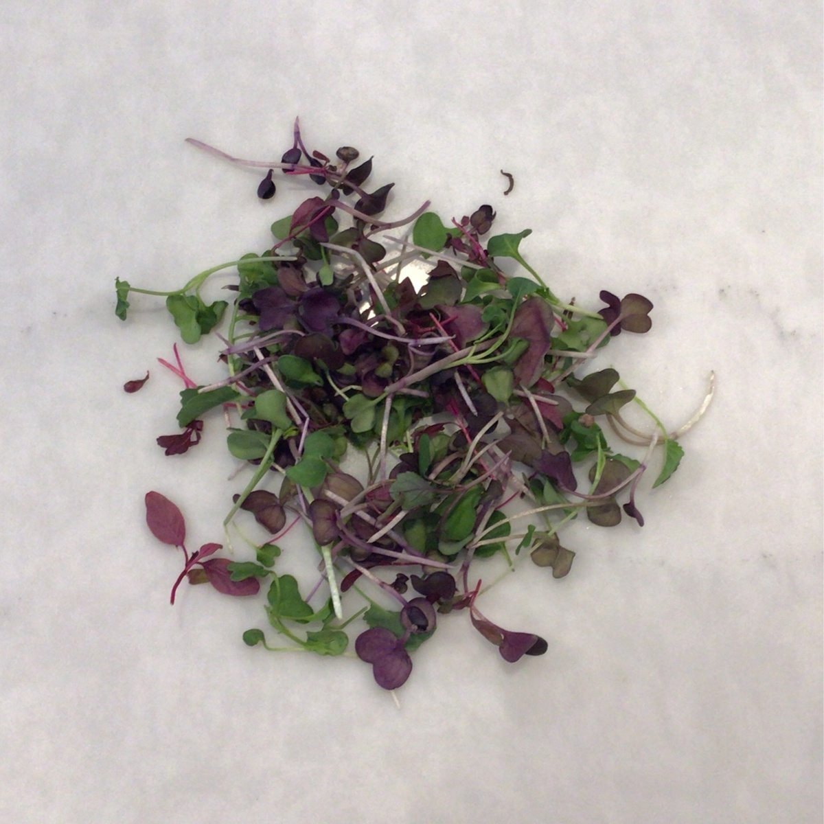 Big Prana Microgreens Micro Greens, Chefs Mix ($4.5/oz)