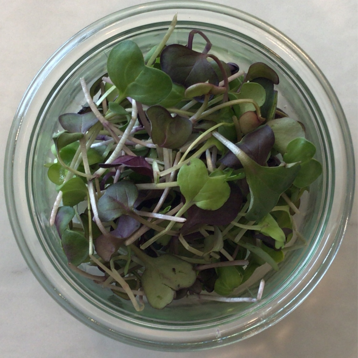 Big Prana Microgreens Micro Greens, Spicy Radish ($4.5/oz)