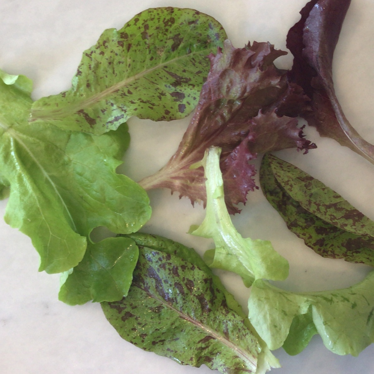 exist green Salad Mix, Exist Green ($1/oz)