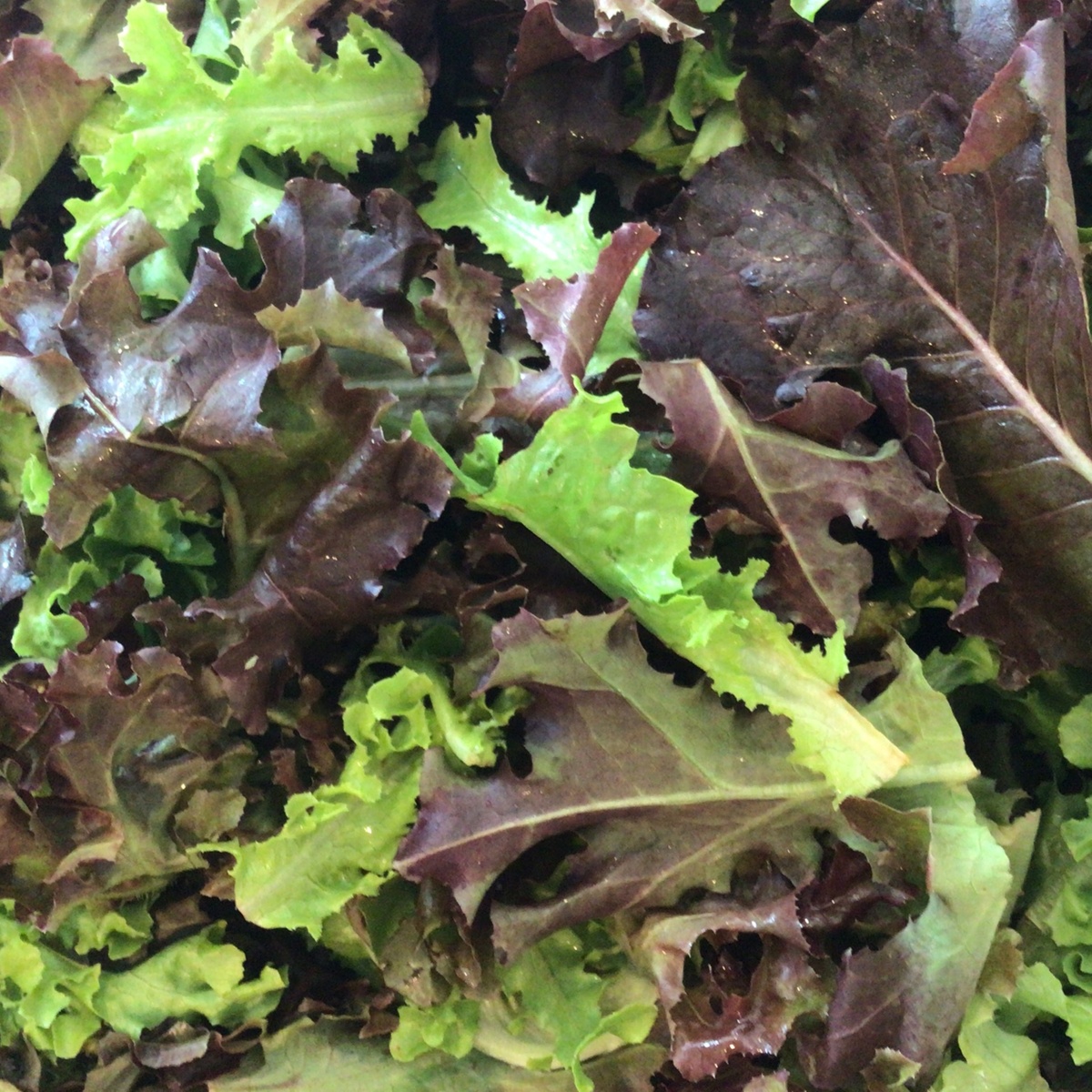 Abie Vegetable People Spring Mix, Salad Mix (90c/oz)