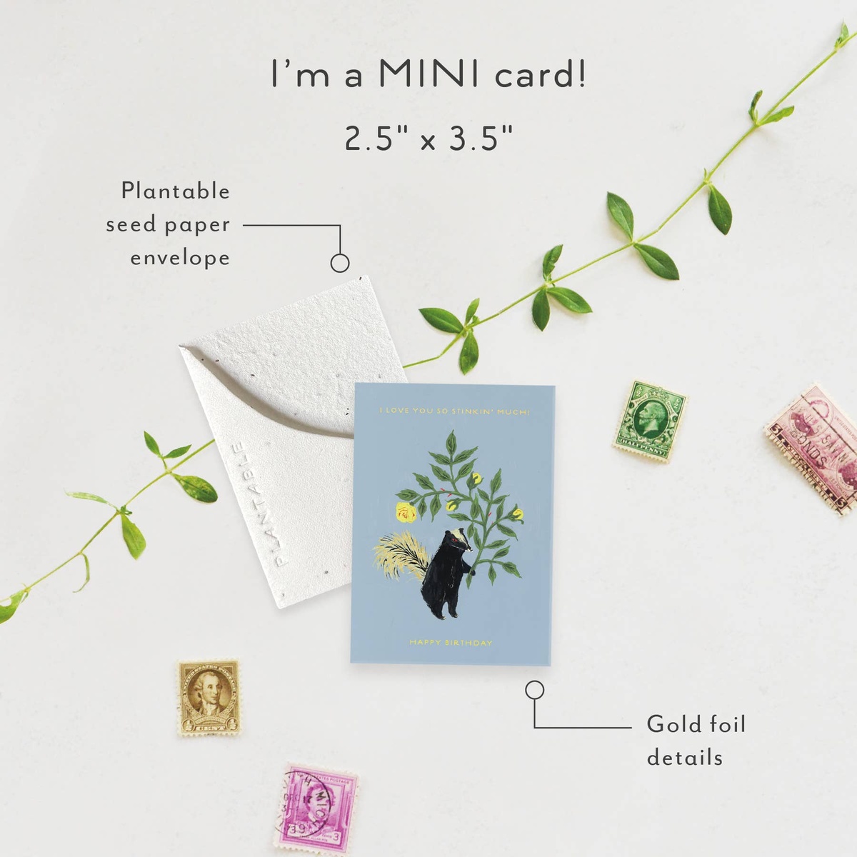 Seedlings Card - "Sprouts" - Mini Birthday Greeting Cards (2.5" x 3.5") biodegradable - image 9