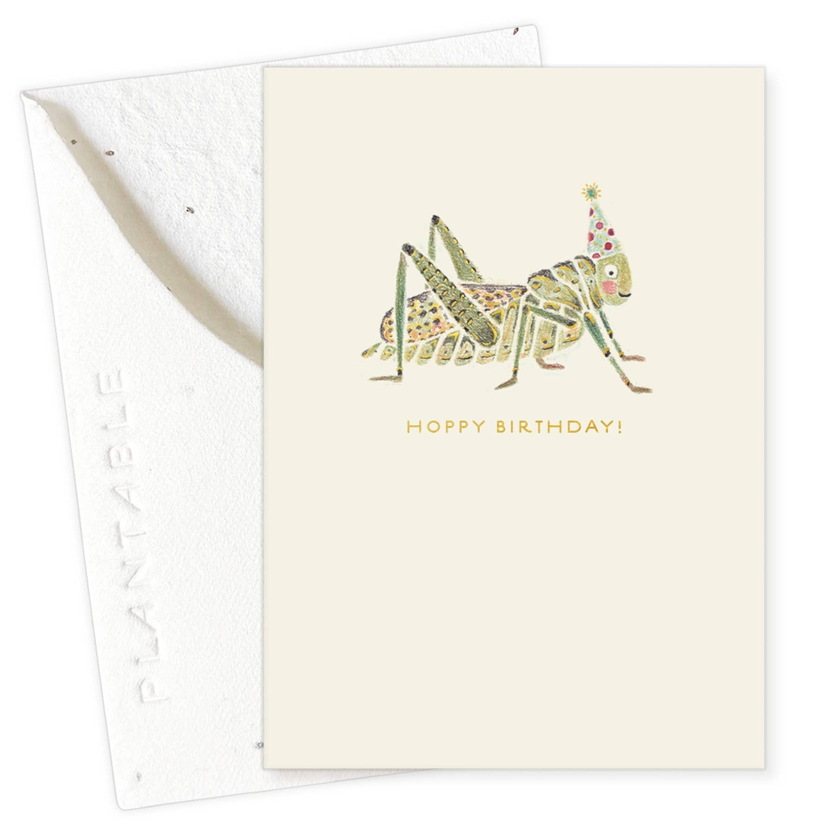 Seedlings Card - "Sprouts" - Mini Birthday Greeting Cards (2.5" x 3.5") biodegradable - image 6