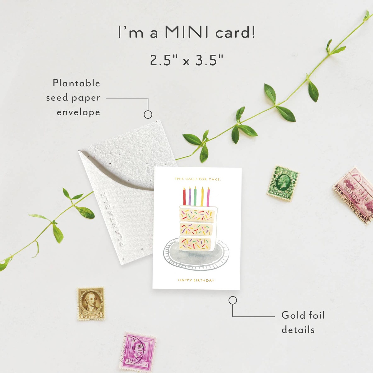 Seedlings Card - "Sprouts" - Mini Birthday Greeting Cards (2.5" x 3.5") biodegradable - image 3