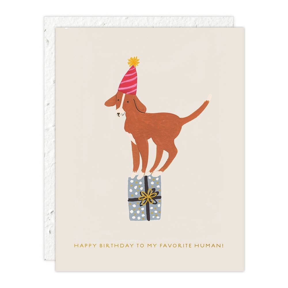 Seedlings Card - "Sprouts" - Mini Birthday Greeting Cards (2.5" x 3.5") biodegradable - image 10