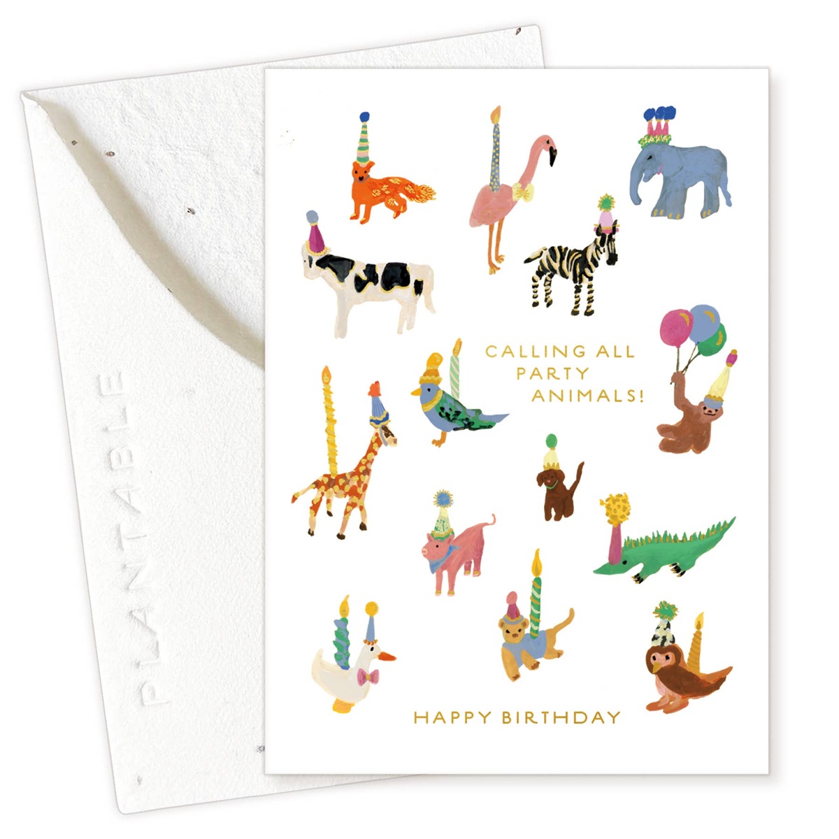 Seedlings Card - "Sprouts" - Mini Birthday Greeting Cards (2.5" x 3.5") biodegradable - image 13