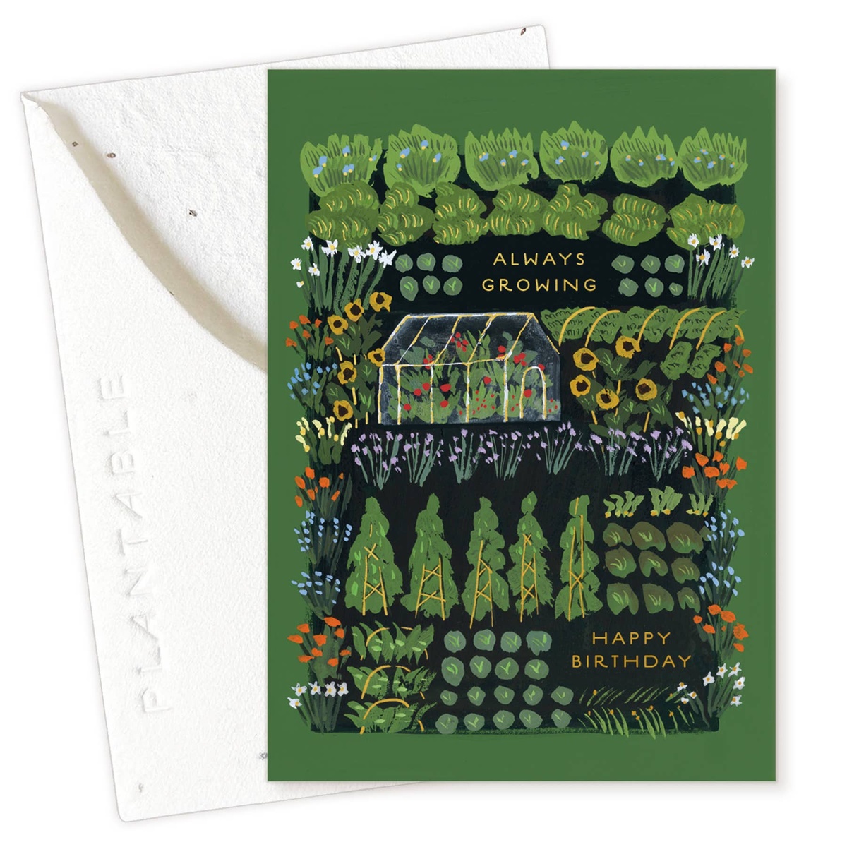 Seedlings Card - "Sprouts" - Mini Birthday Greeting Cards (2.5" x 3.5") biodegradable - image 14