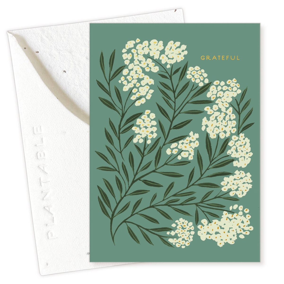 Seedlings Card - "Sprouts" Mini Misc Cards (2.5" x 3.5") biodegradable - image 6