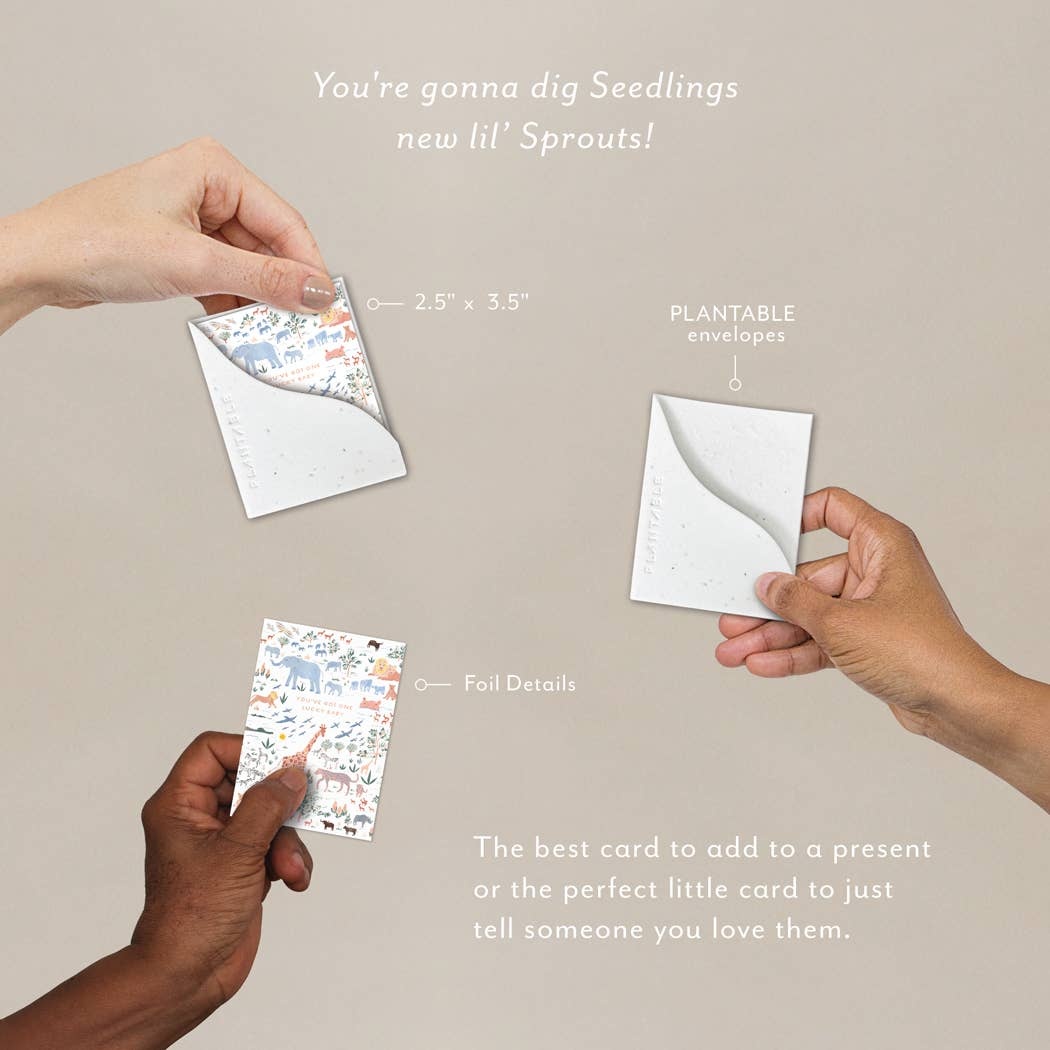 Seedlings Card - "Sprouts" Mini New Baby Cards (2.5" x 3.5") biodegradable - image 5