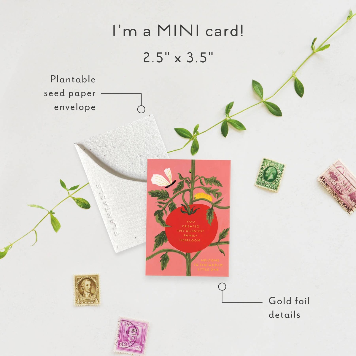 Seedlings Card - "Sprouts" Mini New Baby Cards (2.5" x 3.5") biodegradable - image 7