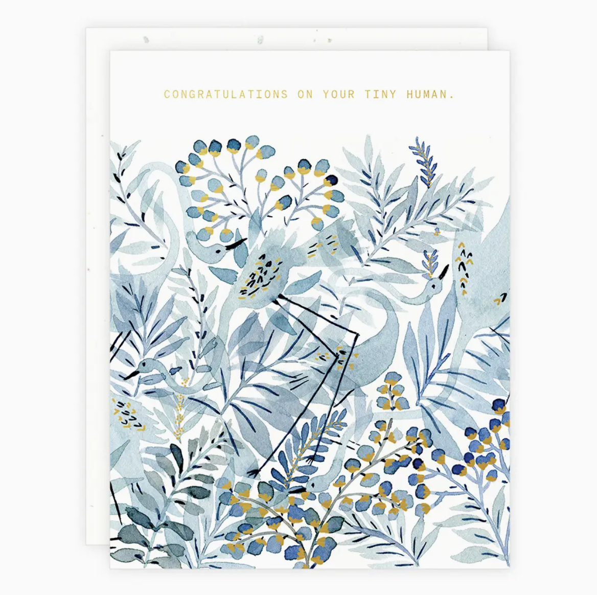 Someday Studio – Baby Greeting Cards