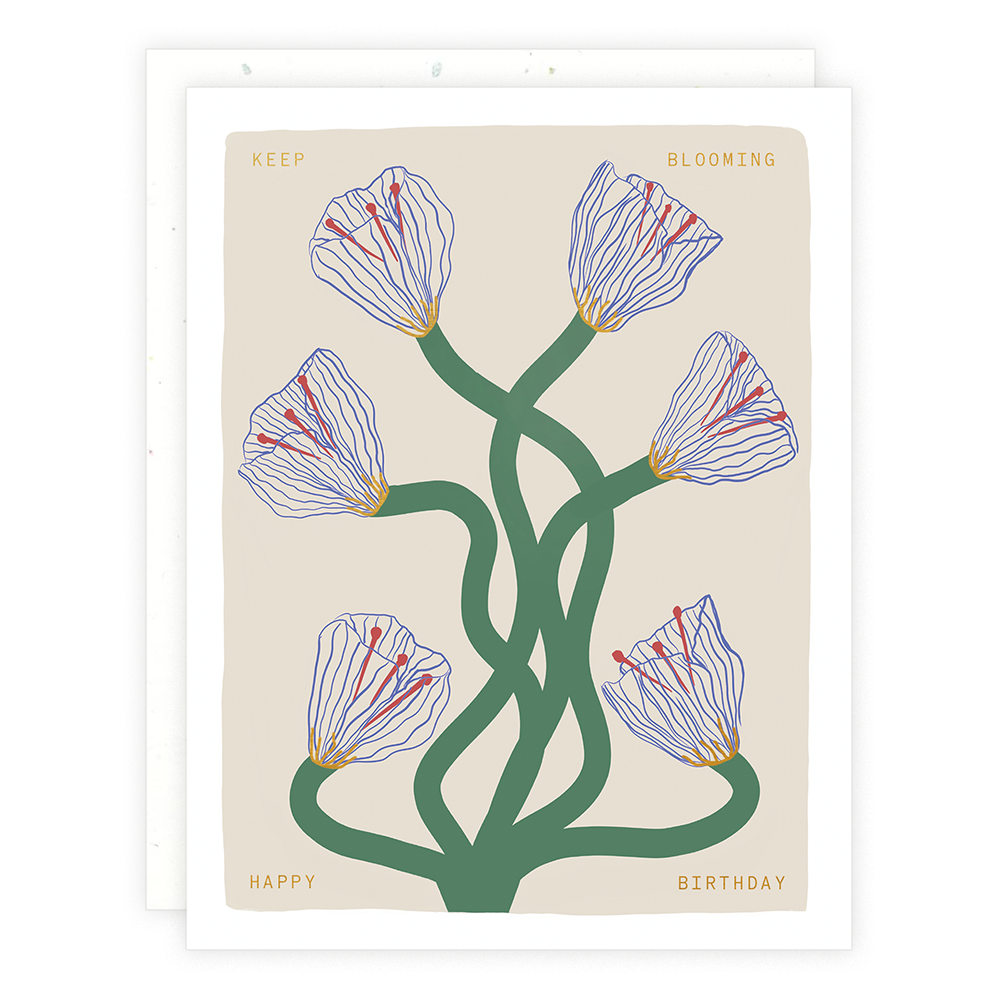 Someday Studio – Birthday Cards Someday Studio - Birthday Cards - image 6