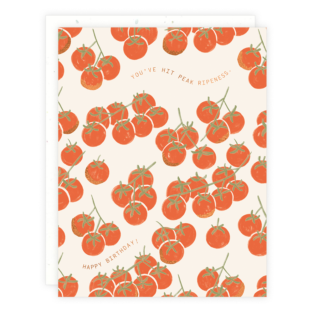 Someday Studio – Birthday Cards Someday Studio - Birthday Cards - image 12