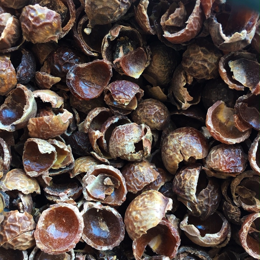 Mountain Rose Herbs L3 - Soap Nuts ($1/oz) biodegradable - image 2