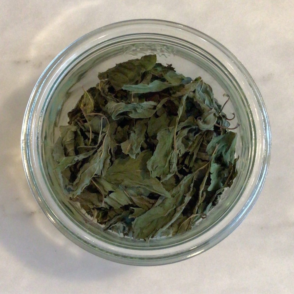 Chocolate Mint, Dried, Local ($5/oz) PCHMINT001 -- Chocolate Mint, Dried, Local ($5/oz)