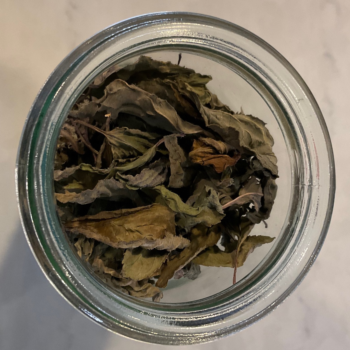 exist green Grapefruit Mint, Local, Dried ($6/oz)
