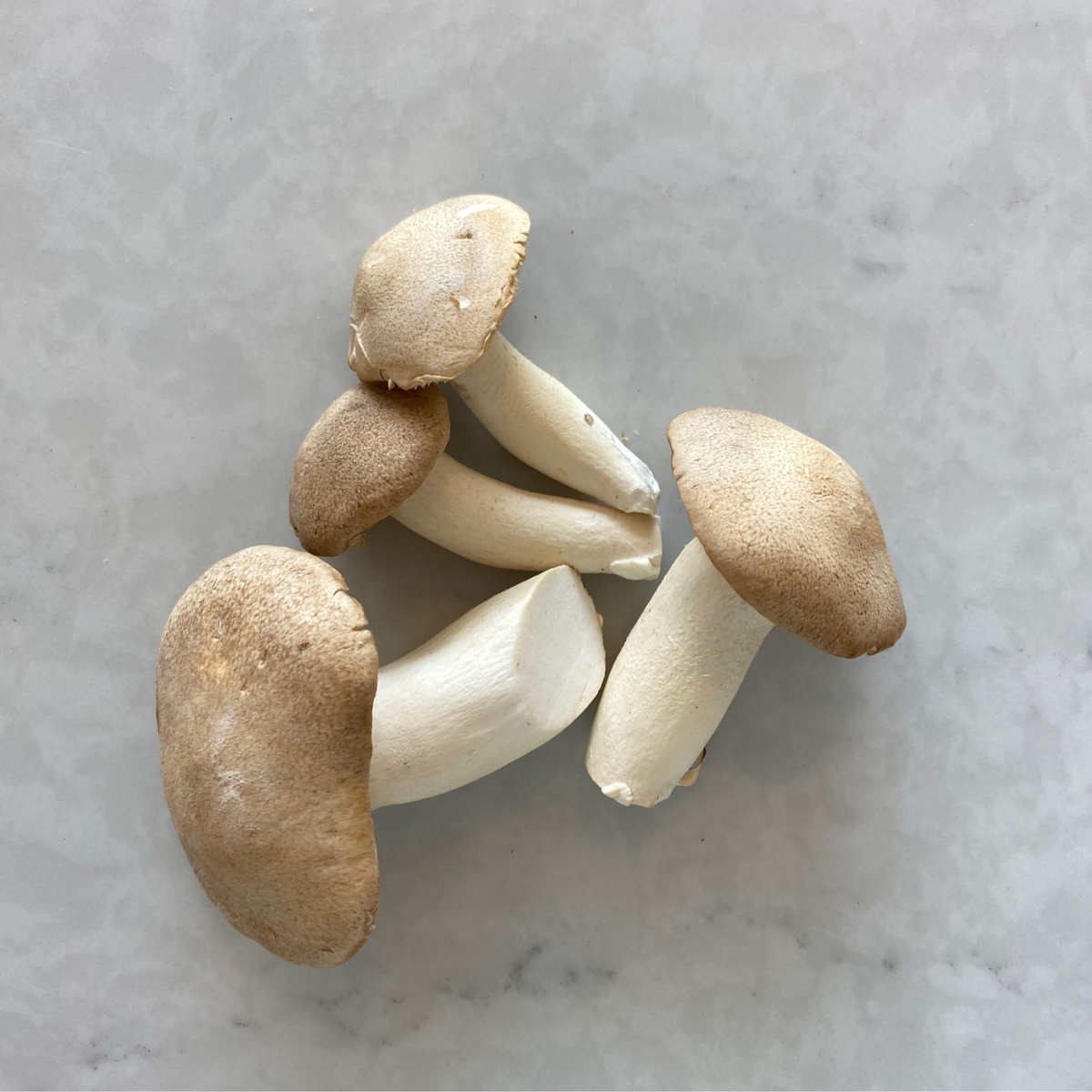 Flavor Country Farms Mushrooms, King Trumpet ($1/oz)