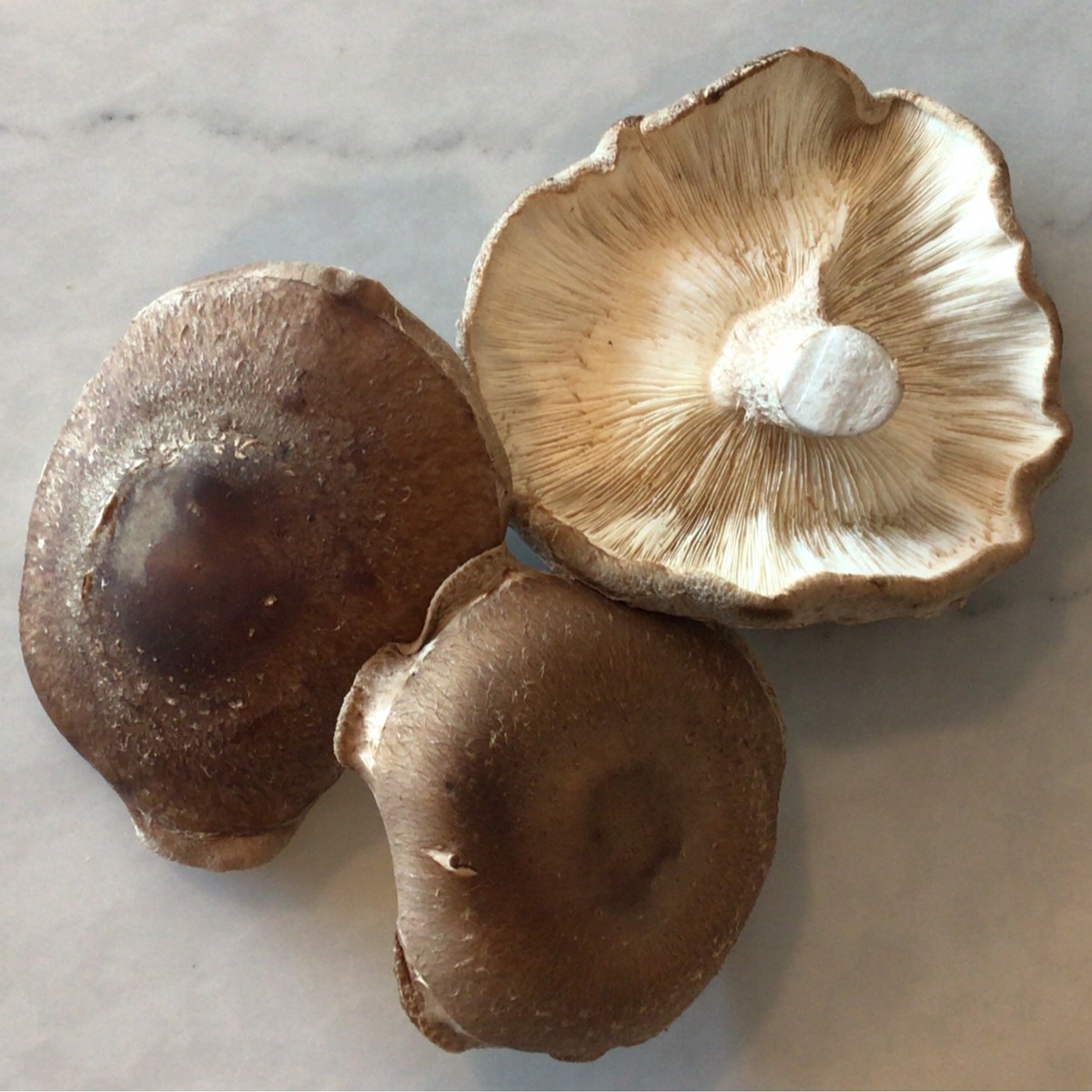 Abie Vegetable People Mushrooms, Shiitake