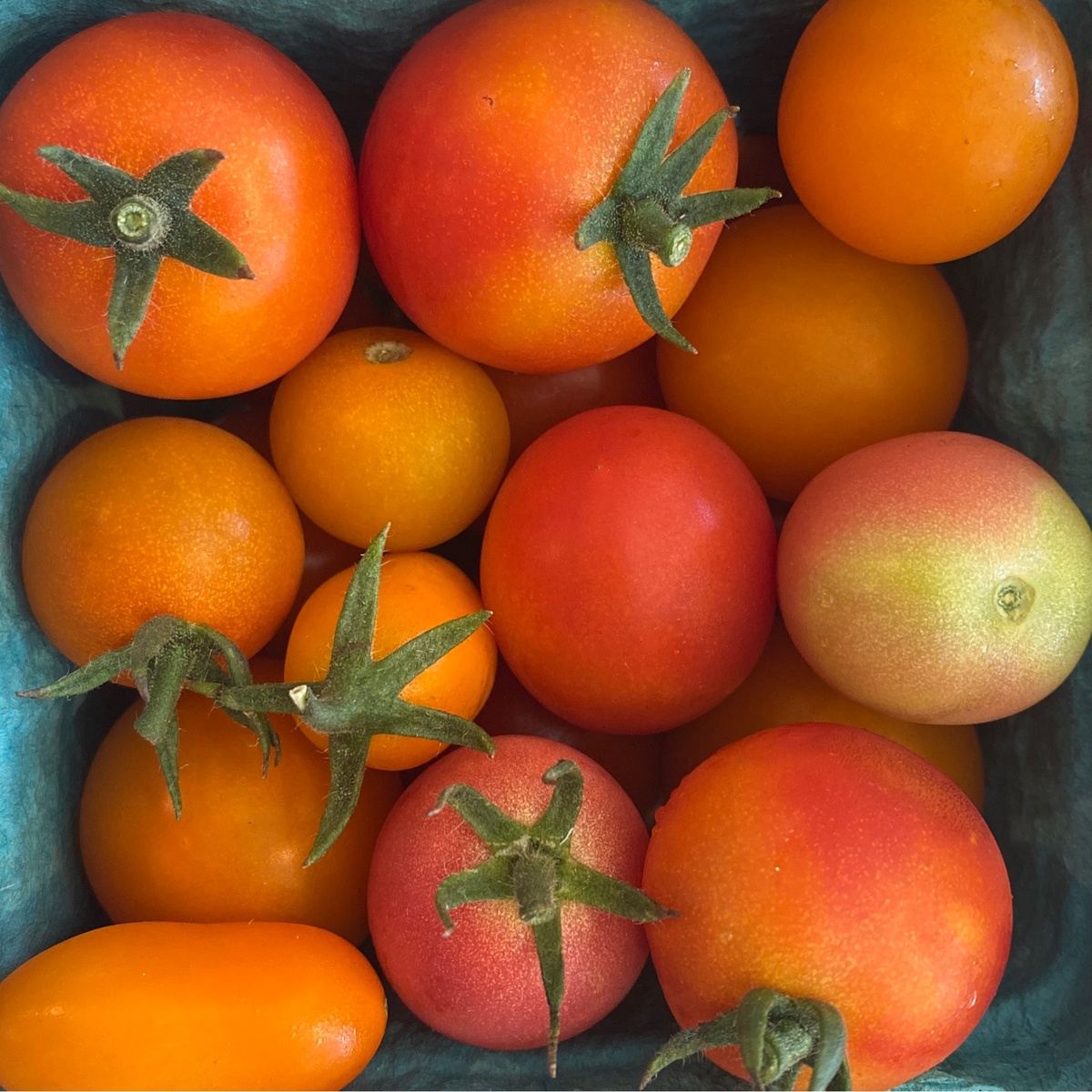 Wolff Farms Cherry Tomatoes, Organic (80c/oz)
