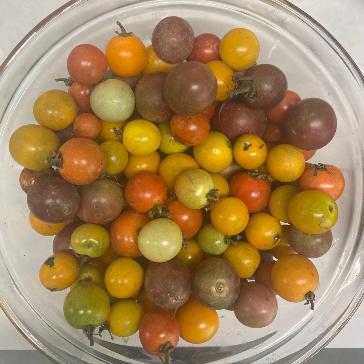 Star Center Farm Cherry Tomatoes, Mixed Colors (per pint) organic produce