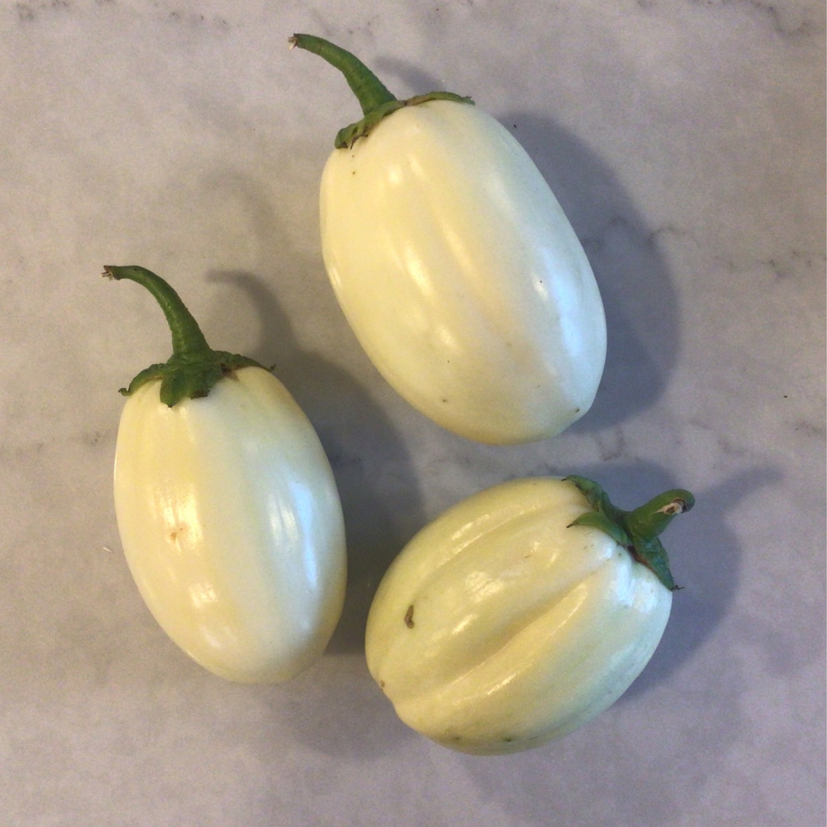 Z Farm Eggplant, African White