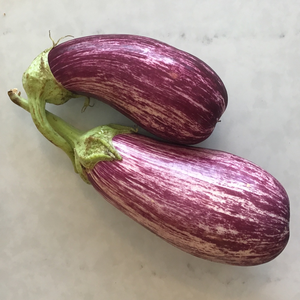 Long Walk Farm Eggplant, Variegated or Dark Purple