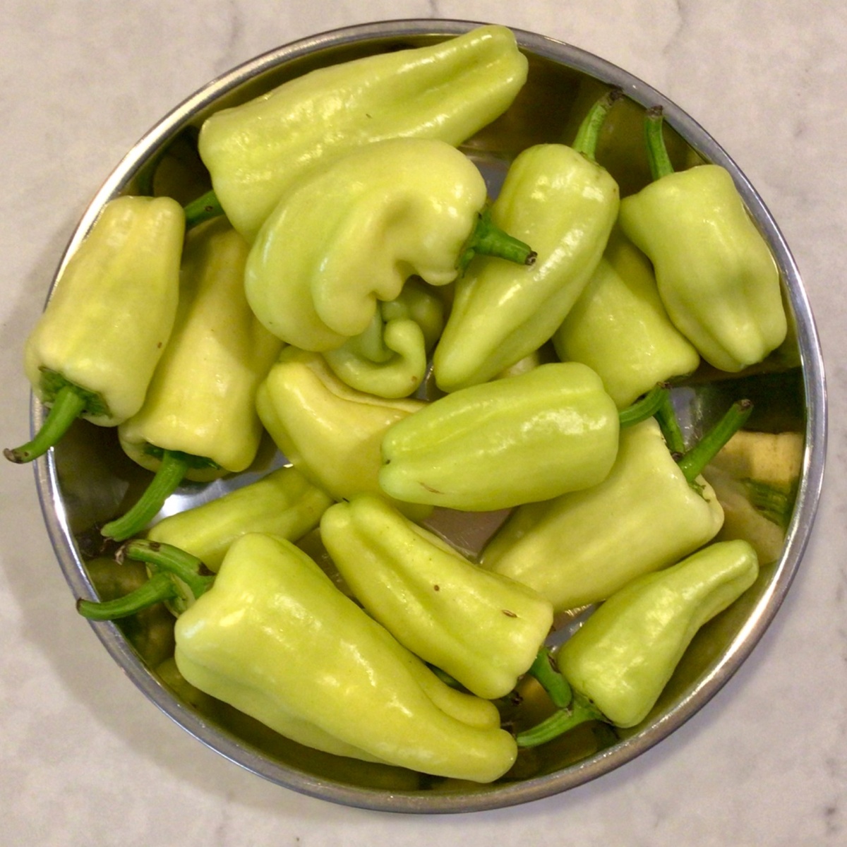 Benson Bounty Gypsy Peppers ($75/oz)