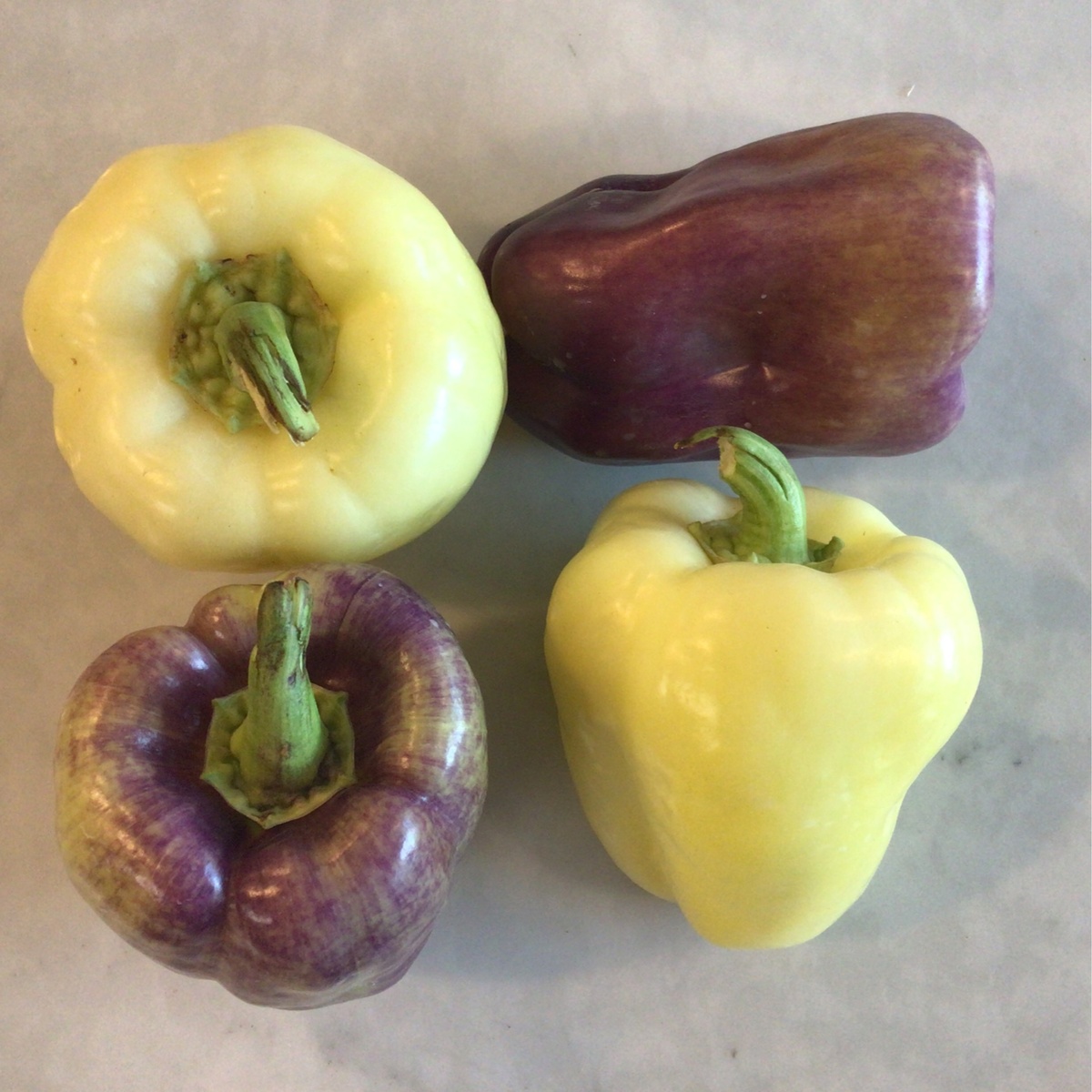 Long Walk Farm Peppers, Bell, Lilac, White & Green