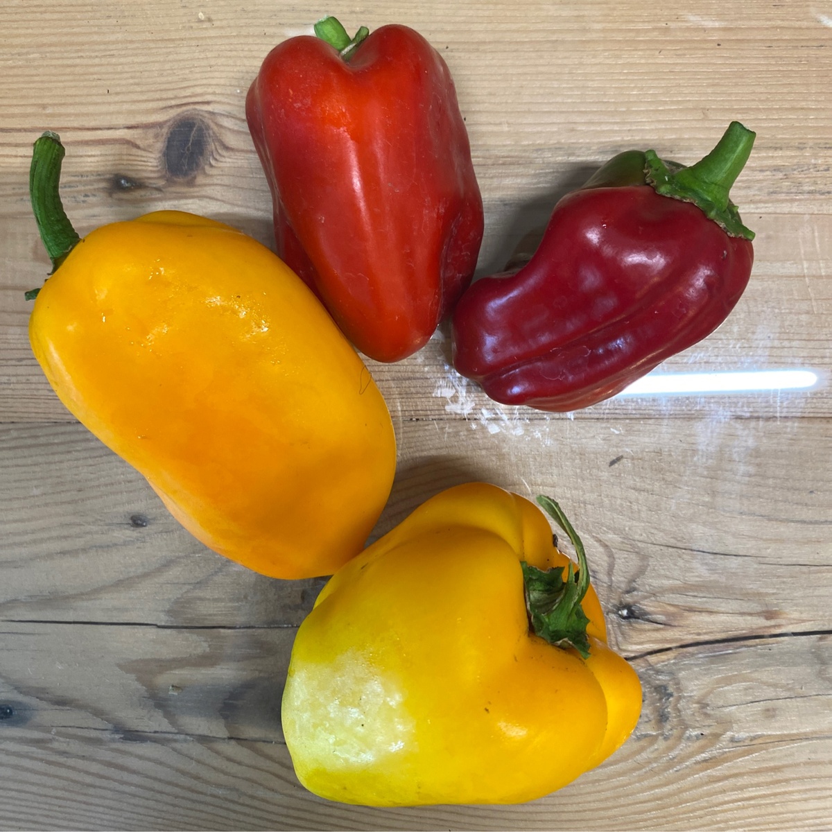 Bridgewater Farm Peppers, Bell, Mixed, Organic