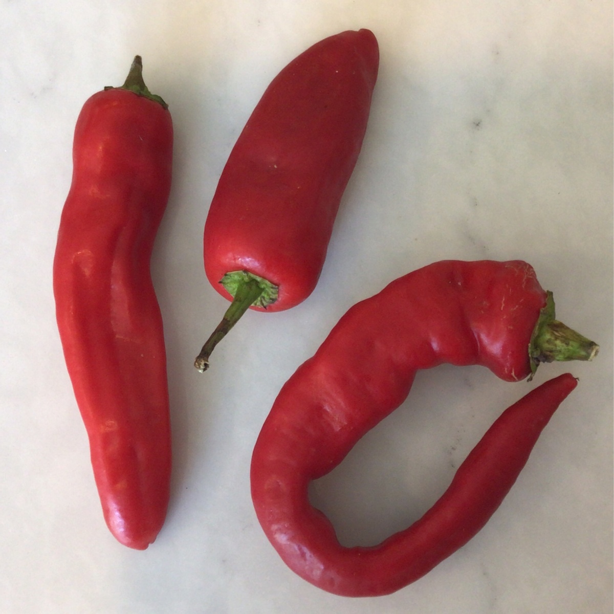 Cedar Valley Farm Peppers, Cayenne, "Rajah" (70c/oz)