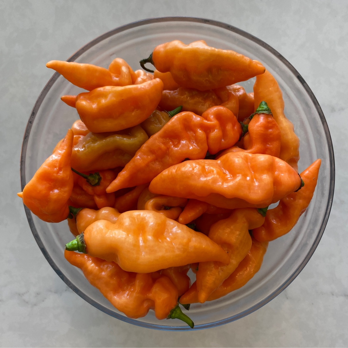 exist green Peppers, "Habanada" (70c/oz)