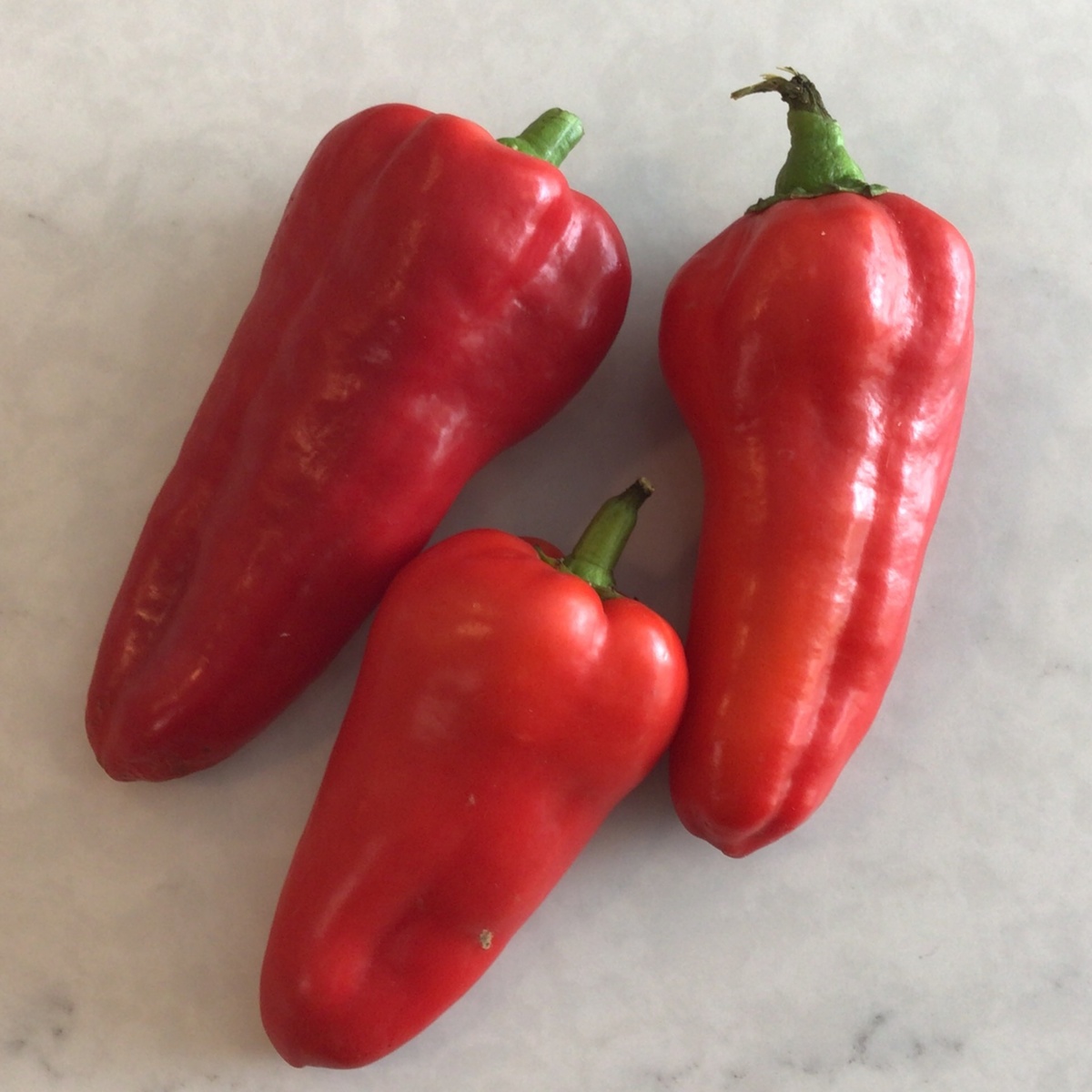 Meristem Farm Peppers, Italian Roasting, Organic, Sweet (Mixed Colors)