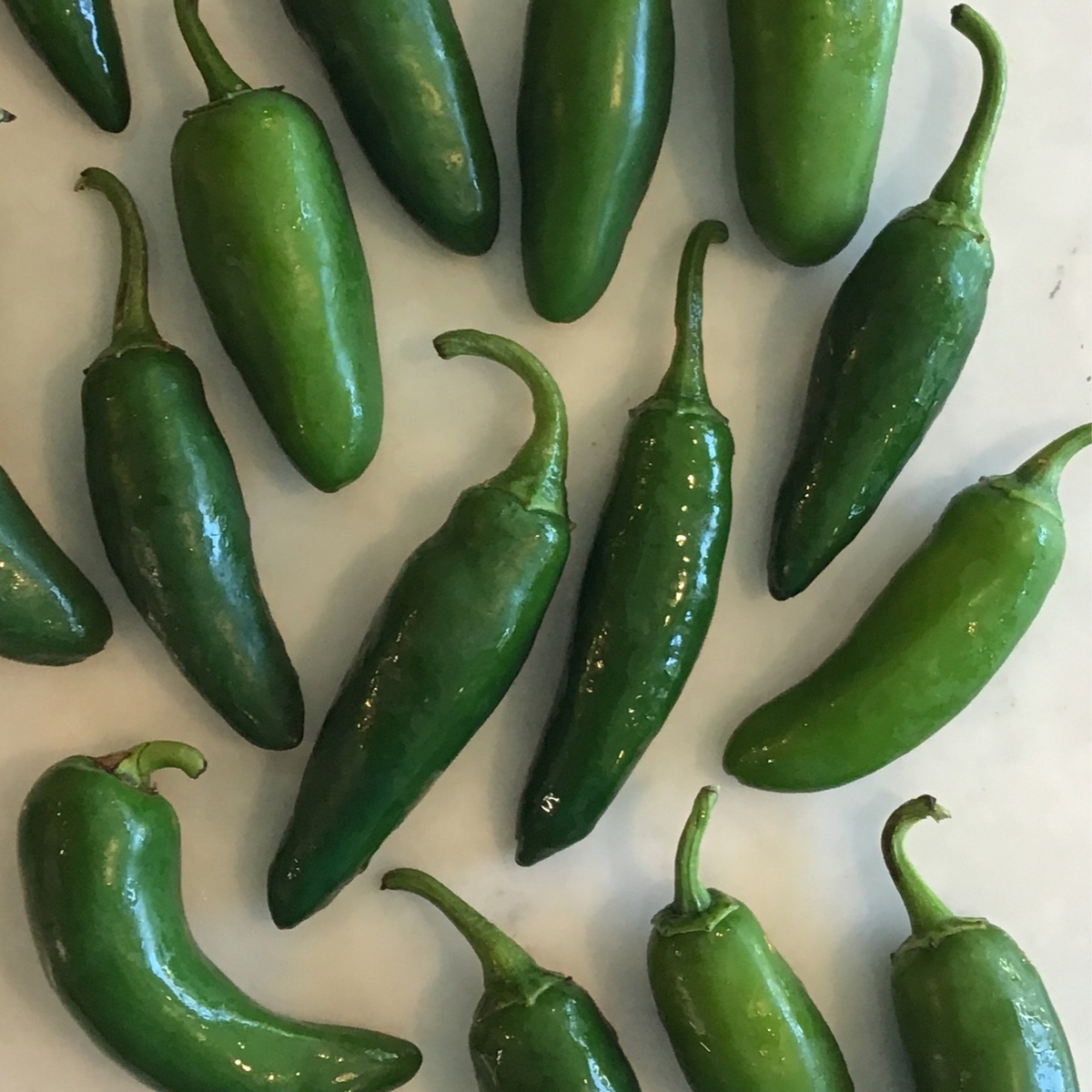 Benson Bounty Peppers, Jalapeno (90c/oz)