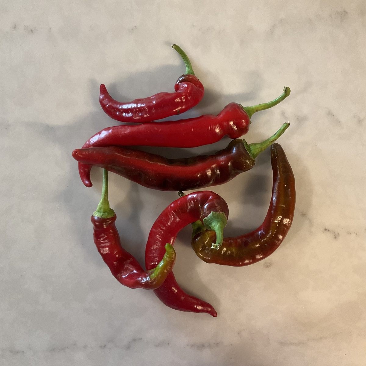 Long Walk Farm Peppers, Jimmy Nardello