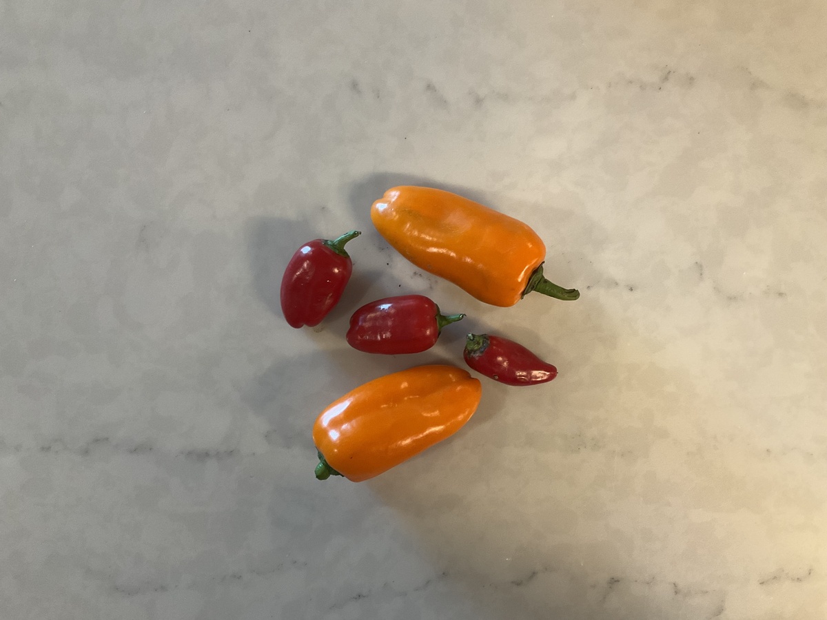 Bridgewater Farm Peppers, Lunchbox, Organic