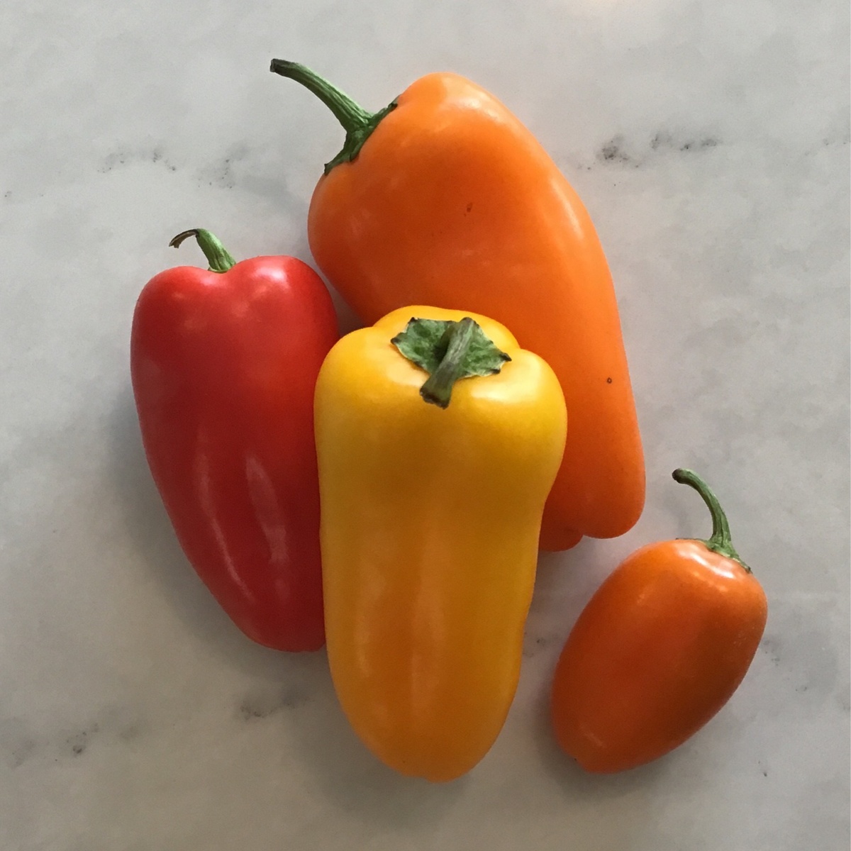 Long Walk Farm Peppers, Mixed Sweet