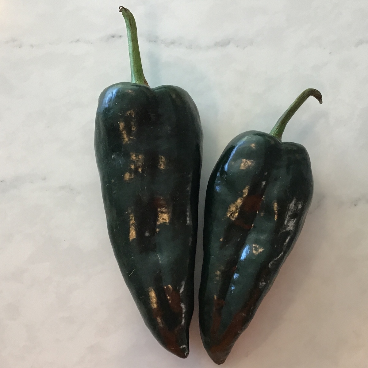 exist green Peppers, Poblano