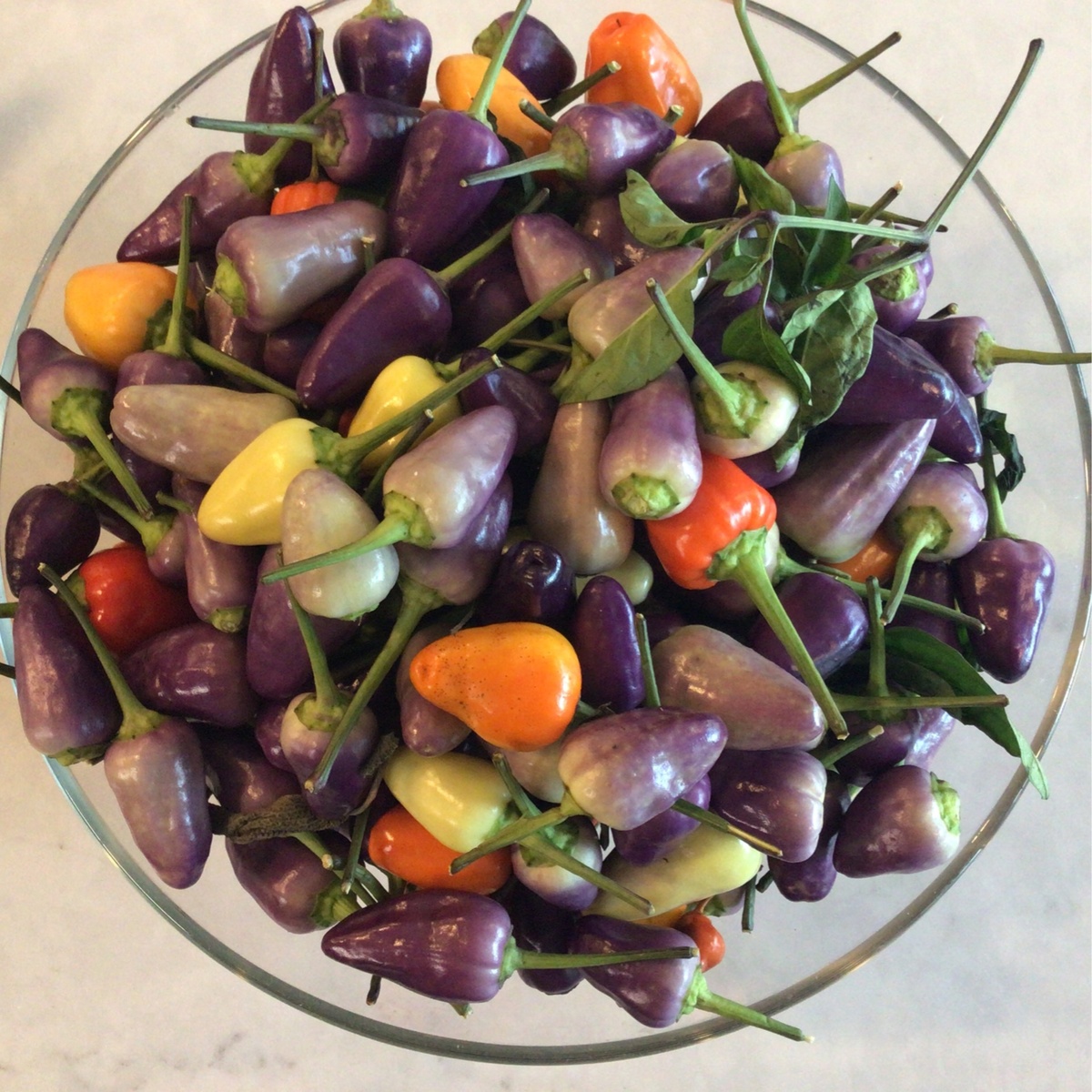 Delish Farms Spicy Peppers, Chinese 5 Color ($1.5/oz)