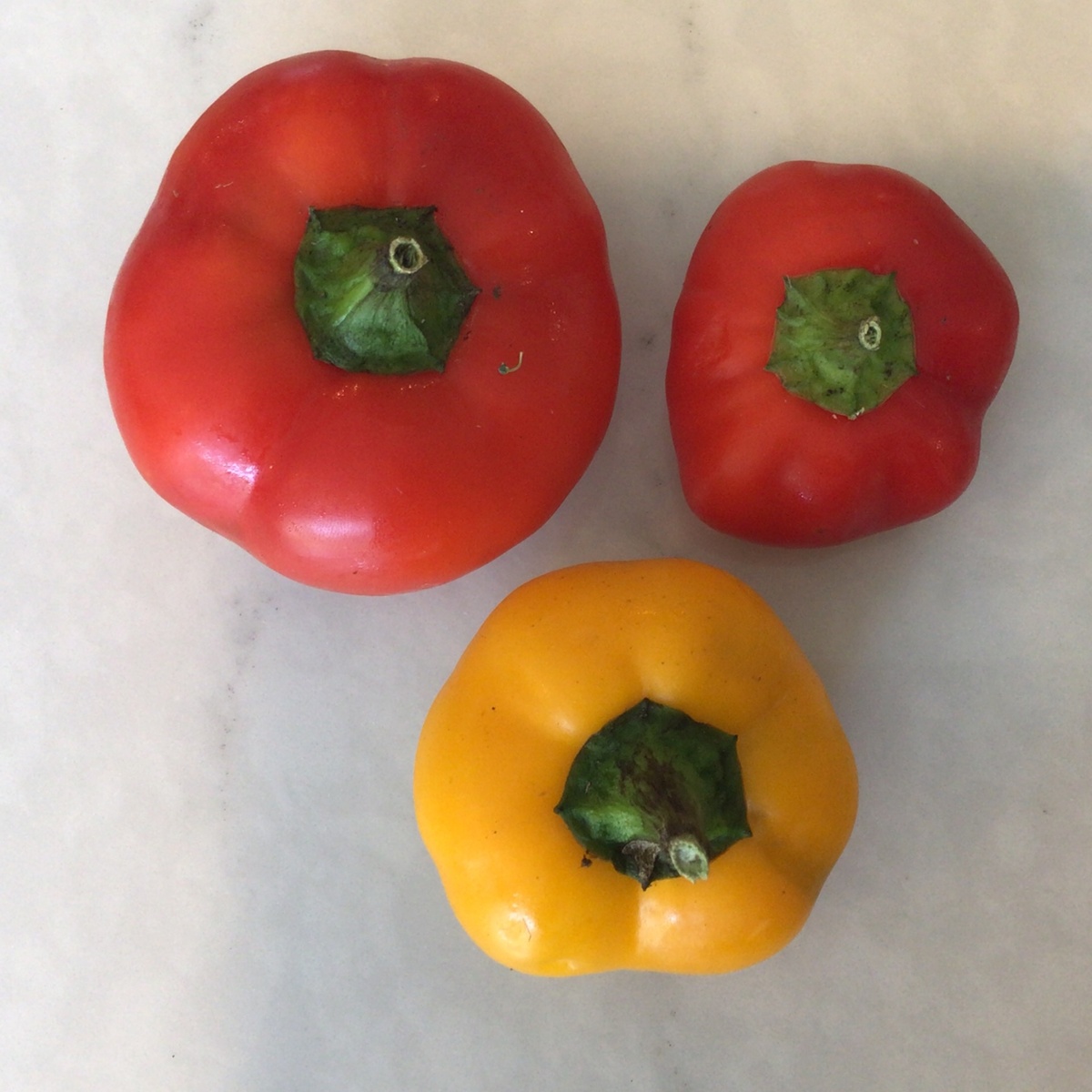 Long Walk Farm Sweet Peppers, Mixed