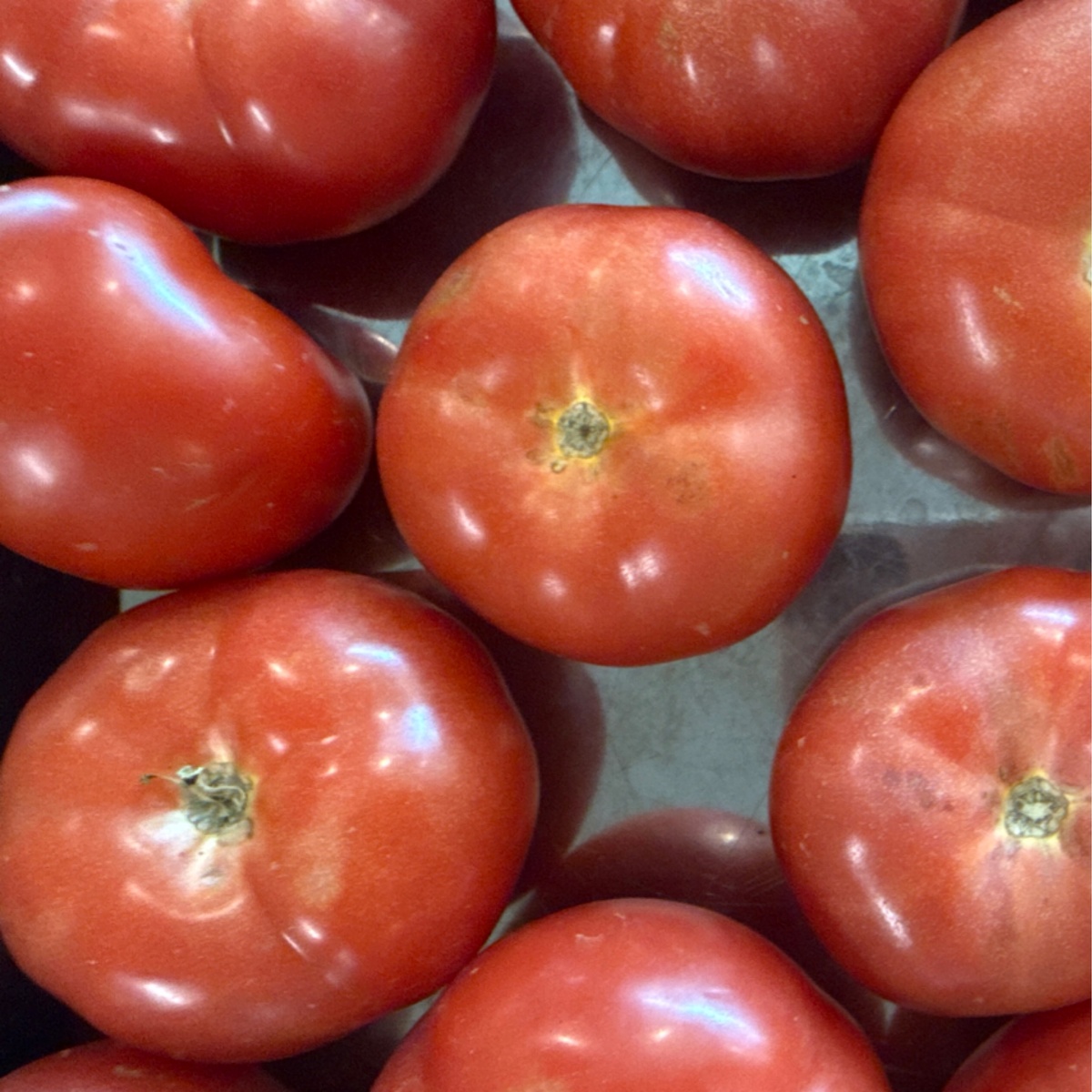 Wolff Farms Tomatoes, Beef Steak