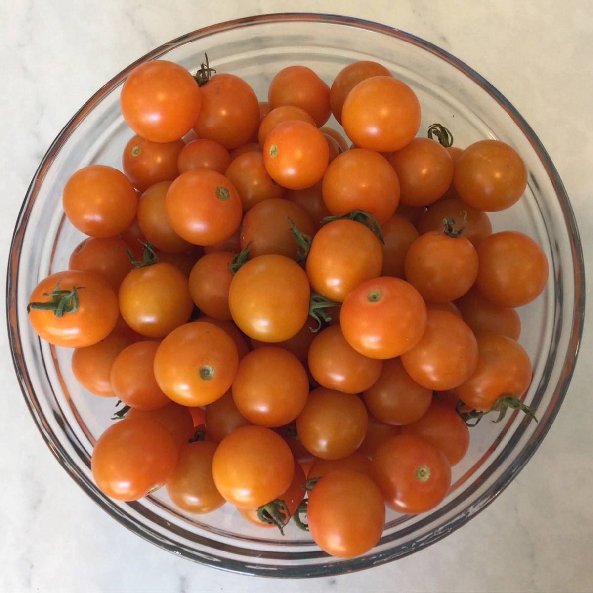 Meristem Farm Tomatoes, Cherry, 'Gold Nugget' or 'Redox'