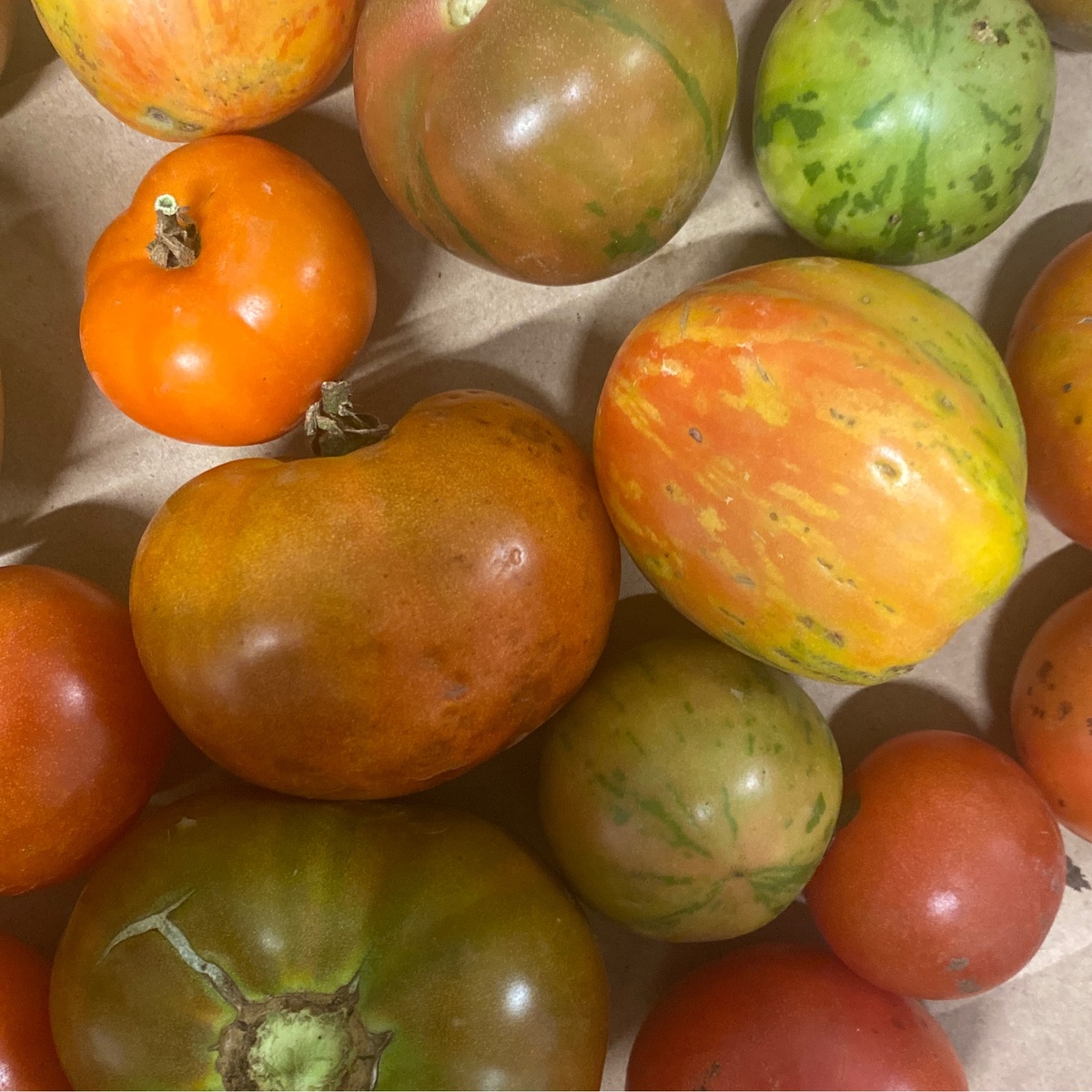 Miller Dohrmann Farm Tomatoes, Heirloom
