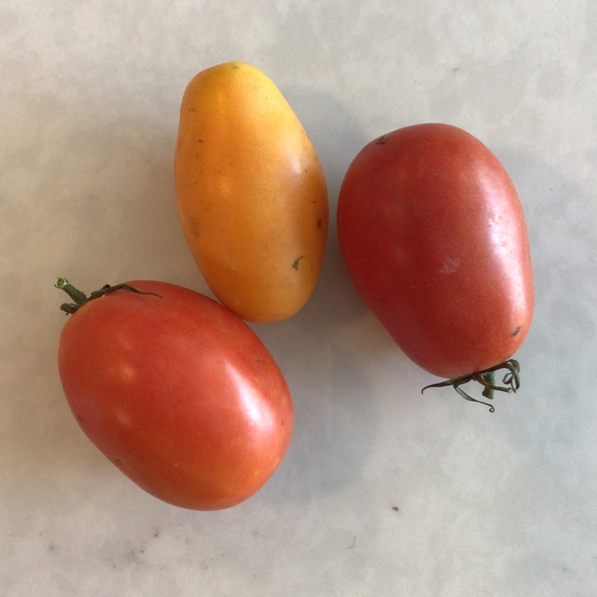 Pekarek's Produce Tomatoes, Roma